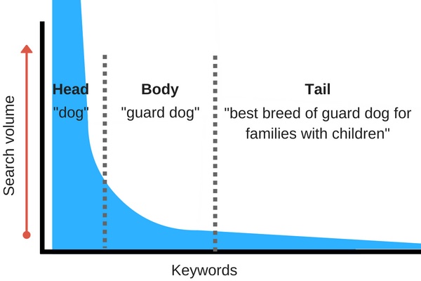 Adding Long Tail Keywords And Why They Are Important Michigan Digital